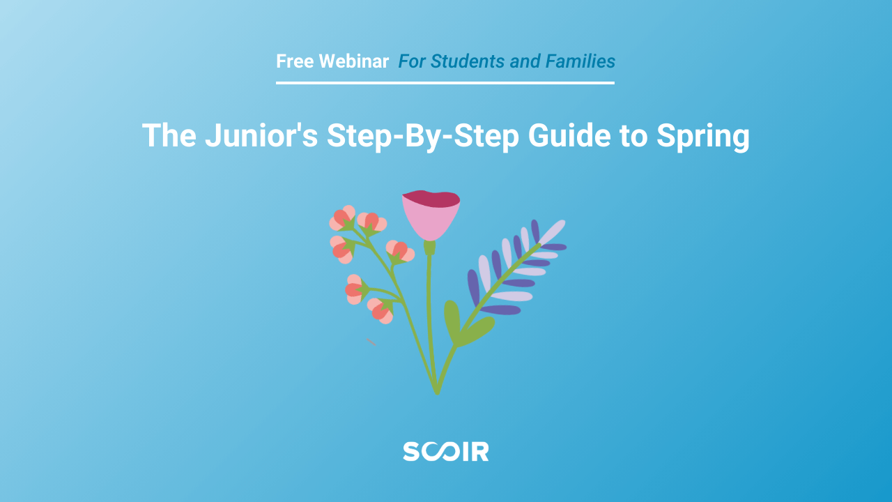 The Juniors Step-By-Step Guide to Spring design for student resources page (1)